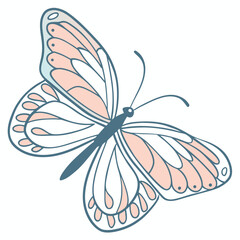 Butterfly and Floral Decorative Vector Illustration

