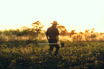 A cassava farmer walks with a hoe in the middle of the field during sunset.
