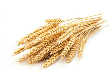 Golden Wheat Stalks on White Background Harvest Grain Fields Agriculture Crop on white background. Generative AI
