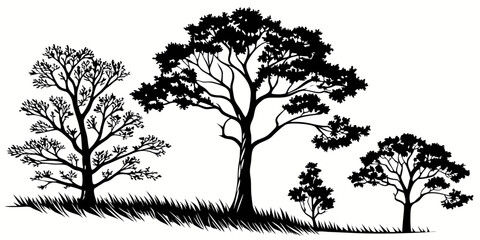 A set of simple hand-drawn trees, black tree sketches on a white background, looks like a drawn forest in white background vector illustration.









