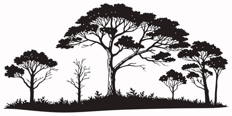A set of simple hand-drawn trees, black tree sketches on a white background, looks like a drawn forest in white background vector illustration.
