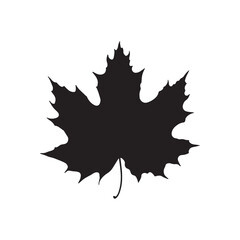 Maple leaf