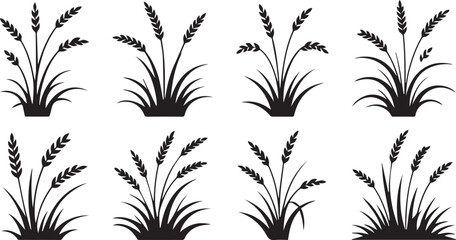 Collection of wheat stalks silhouette isolated on white background