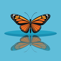 Illustration of a Viceroy butterfly hovering over a surface with wings open in mid-air motion, Viceroy butterfly hovering illustration, Hovering butterfly with wings open, Butterfly in mid-air vector 