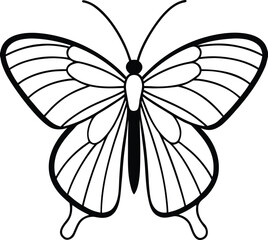 Minimalist top-view contour drawing of the Great Mormon butterfly isolated on white background, Great Mormon butterfly contour drawing, Minimalist butterfly top view sketch