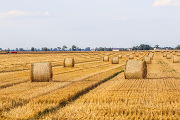 Expansive golden field filled with numerous round straw bales under a bright sky, symbolizing harvest, agriculture, and rural life.
