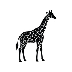 Naklejka premium giraffe vector illustration