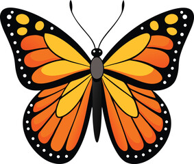 Top view vector illustration of a Viceroy butterfly isolated on white background,  Viceroy butterfly top view vector, Butterfly vector top view white background, Flat vector Viceroy butterfly
