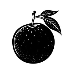 Orange Fruit Clipart Vector illustration