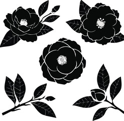 Elegant Flower Silhouette Set Camellia Vector Graphics
