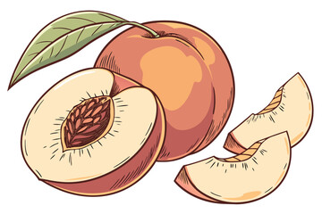 realistic, highly detailed, lifelike, hyper-detailed, 8K, photorealistic, 3D, digital art, high quality, studio lighting, sharp focus, vibrant colors, minimal background, isolated objects, fresh, ju