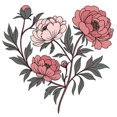 beautiful peony flowers, delicate pink petals, detailed botanical illustration, vibrant colors, elegant floral design, intricate petal textures, lush foliage, sophisticated botanical art, exquisite fl