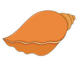 Cute cartoon hand drawn vector orange conch clipart.