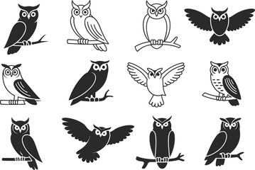 Set of twelve black and white owl icons, various poses and styles, flying and perched on branches, minimalist vector