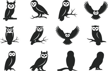 Set of twelve black owl silhouettes, various perched and flying poses, isolated on white background, vector icons, wildlife, nature, bird of prey, night