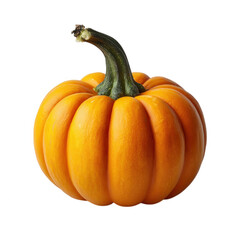 Small orange pumpkin isolated on transparent background