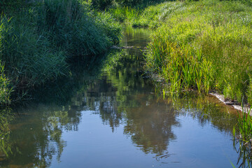 Small river Grabia in central Poland.
