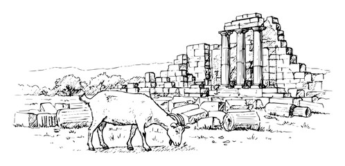 Fototapeta premium goat grazing in ancient greek ruins sketch landscape illustration