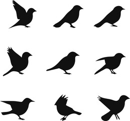 Fototapeta premium Black bird silhouette icon set.