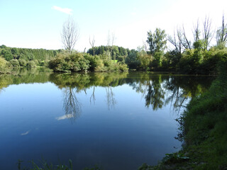 Kleine Inseln im Konradsweiler Weiher bei Rot an der Rot