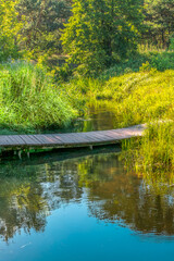 Small river Grabia in central Poland.