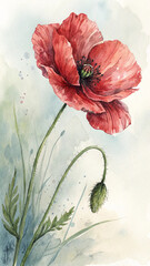 Watercolor Poppy Flower Deep Red Bloom with Bud and Green Stems