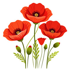 Fototapeta premium Vector illustration of vibrant red poppies with buds and leaves, isolated on a white background