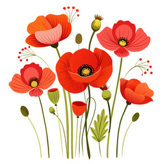 Fototapeta premium Vector illustration of vibrant red and orange poppies with green leaves and buds, isolated on white background