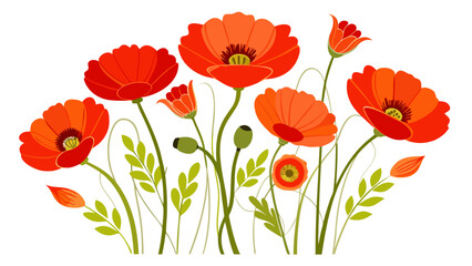 Naklejka premium Vector illustration of a vibrant illustration of red and orange poppies blooming with green leaves, isolated on 