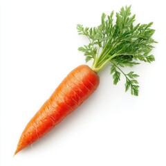 Isolated single carrot with green leaves on a white background in a studio shot with natural lighting