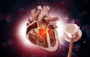 Human heart cross section with stethoscope. 3d illustration