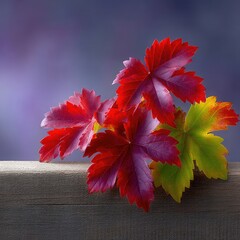 Crimson Leaves on Rustic Wooden Fence