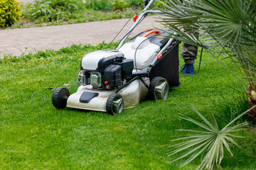 A person is mowing the lawn with a lawn mower