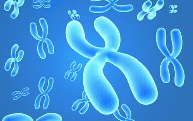 X Chromosome on blue color background. 3d illustration