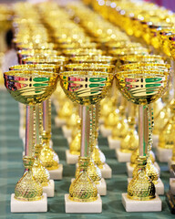 golden trophies of champions gathered together. Selective focus
