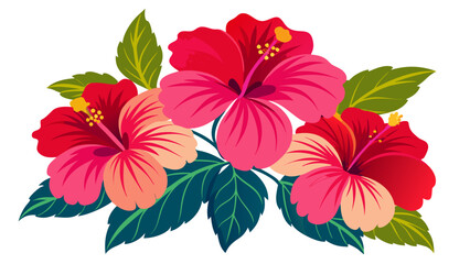 Vector illustration of three hibiscus flowers with green leaves are isolated on white background