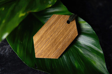 Wooden tag organic material blank label eco friendly natural texture green leaf sustainable branding empty space rustic style. Wooden tag with organic material and blank label green leaf eco