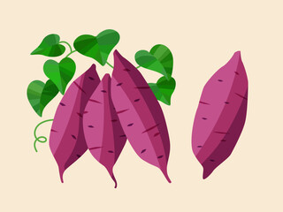 Illustration of harvested crops, sweet potatoes with leaves