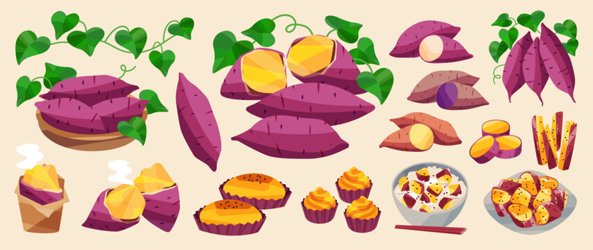 Illustration of a set of sweet potato dishes