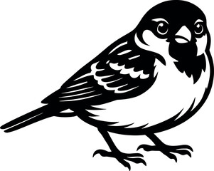 Obraz premium Sparrow vector silhouette design