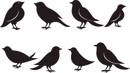 Black Bird Silhouettes Collection for Wildlife and Nature Concepts