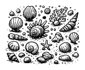 seashells and sea life sketch doodle set vector