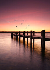 birds flying over  a long wooden pier at sunrise, Smooth water and reflection