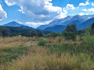 landscape with trees in the mountains in Bansko, Bulgaria