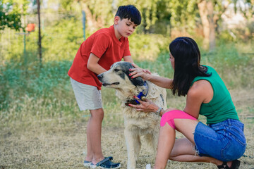 Mother and son wash adopted dog in an outdoor kennel