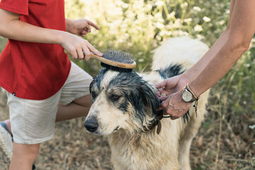 Family brushing a wet dog in the countryside