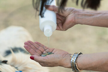 Woman pouring shampoo on hand, preparing to wash a dog