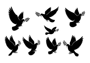 Fototapeta premium Vector silhouette of a collection of black dove silhouettes flying with olive branches in their beaks, isolated on a white background