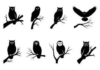 Fototapeta premium Vector silhouette of a collection of black owl silhouettes perched and flying on branches, isolated on a white background