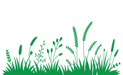 Green silhouette of various wild grasses and plants on a white background